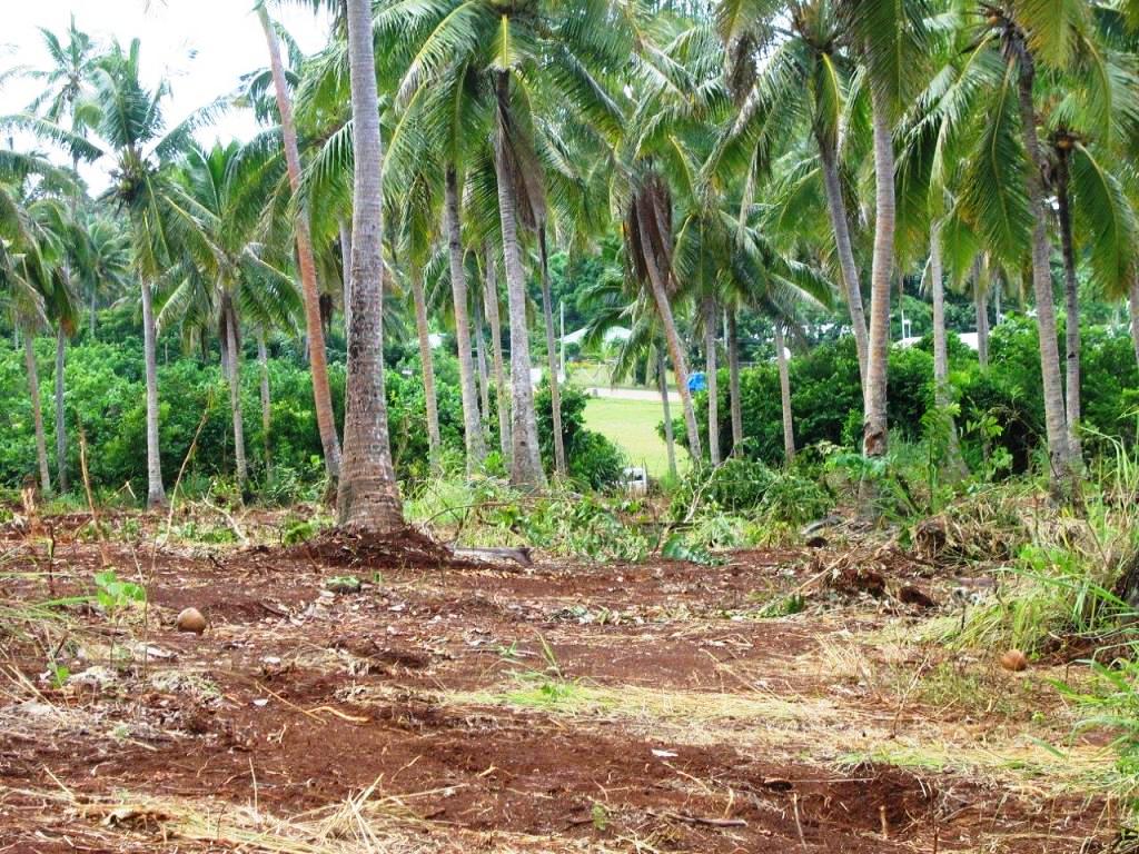 4,199 Allotments Waiting: The Scale of Tonga’s Land Survey Crisis