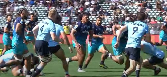 Moana Pasifika Rising A Pacific Dream Taking Flight